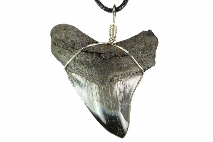 Fossil Megalodon Tooth Necklace - Serrated Blade #130376